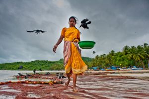 Beach-seine Fishing in Goa