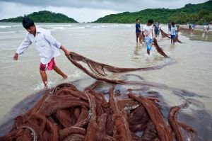 Beach-seine Fishing in Goa