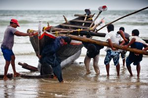 Beach-seine Fishing in Goa