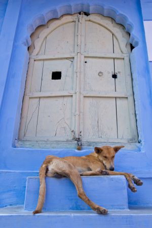 20090221_jodhpur_008.jpg